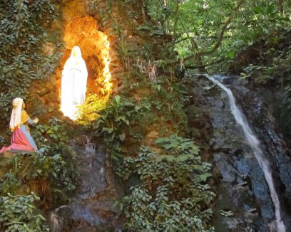 fresh-ripe-apricot-top-view-market