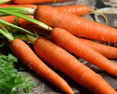 Cenoura – O alimento ideal para o Verão