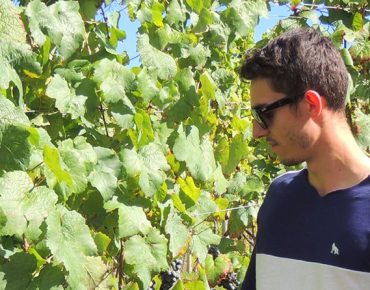 Serra Catarinense: Vinhos e Paisagens