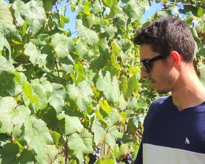 Serra Catarinense: Vinhos e Paisagens