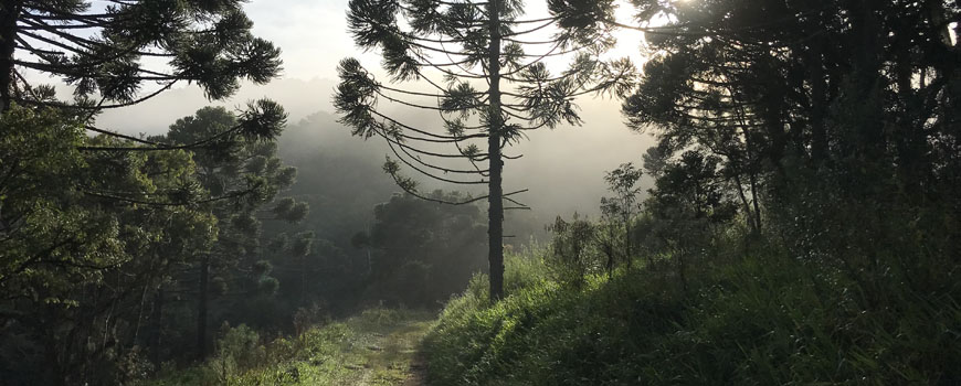 Amanhecer na serra catarinense