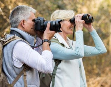 Bird-Watching: Saiba tudo sobre a observação de pássaros