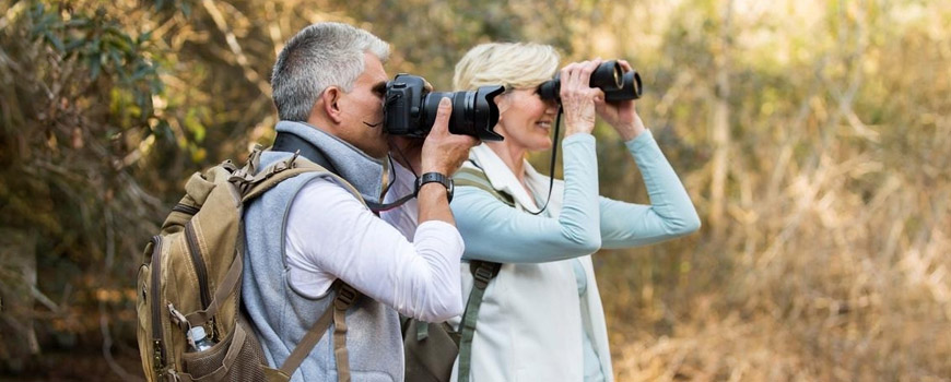 Bird-Watching: Saiba tudo sobre a observação de pássaros